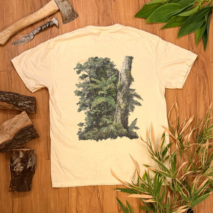 Rainforest