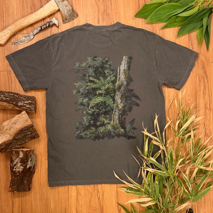 Rainforest