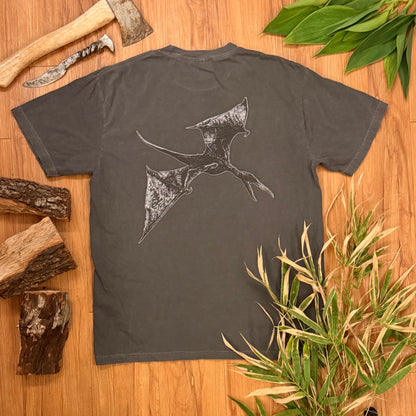 Pterodactyl